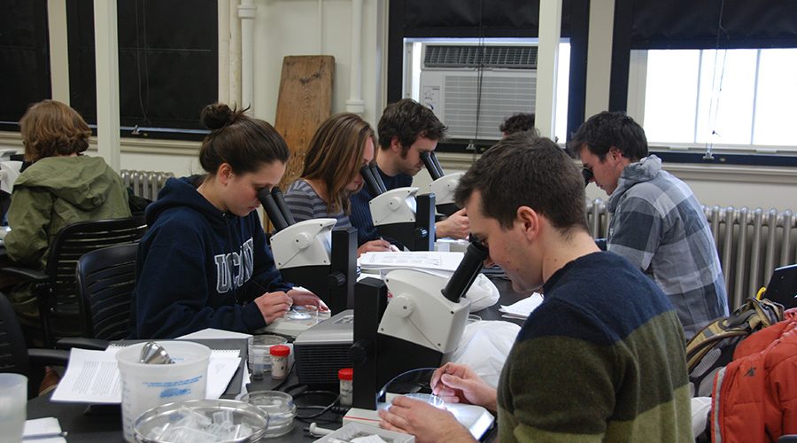 UConn students sitting at microscopes examining ancient seeds.
