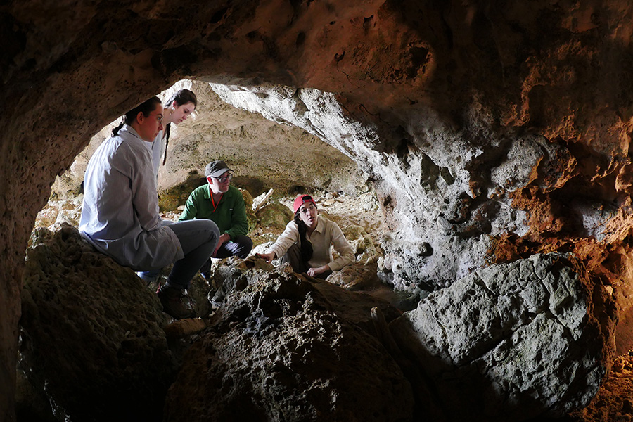 Lab members conduct research in a cave.